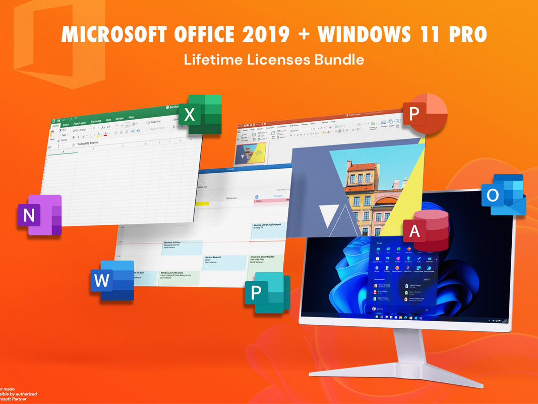 A Microsoft Office 2019 and Windows 11 Pro bundle on a plain background.