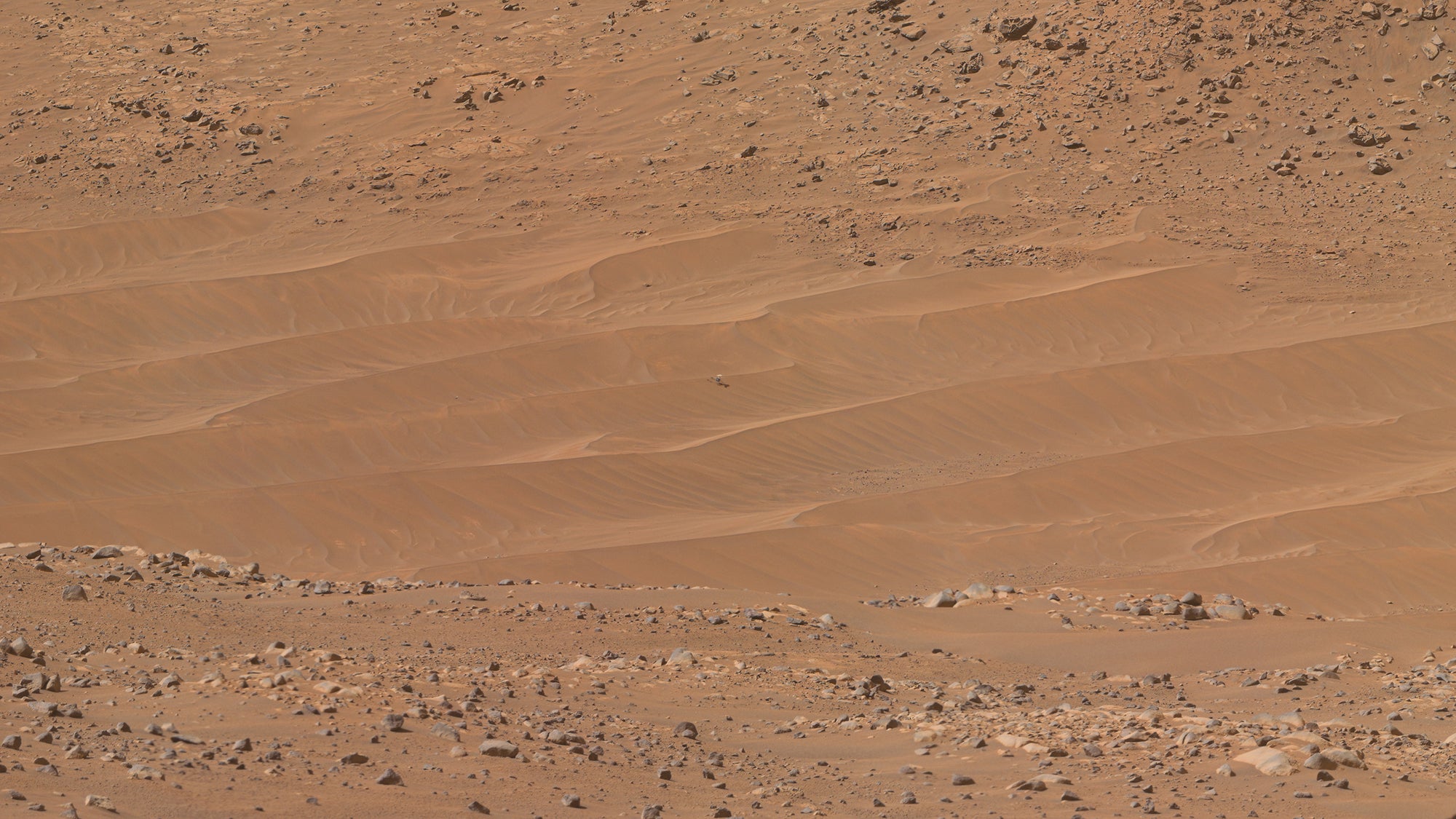 NASA’s Perseverance Rover spots damaged, lonely Ingenuity helicopter in the ‘bland’ part of Mars thumbnail