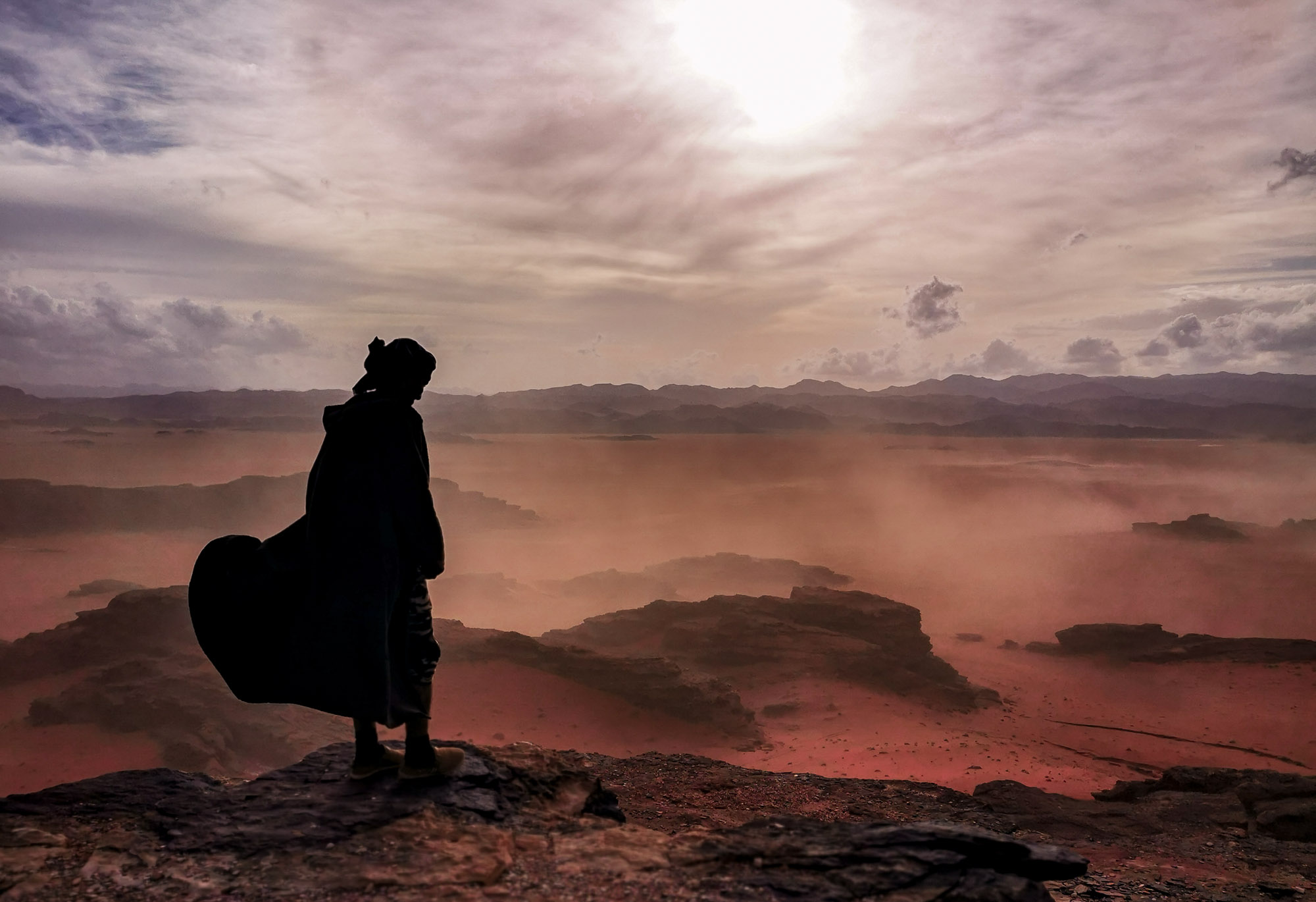 A person stands on top of a rock in a vast red sand desert