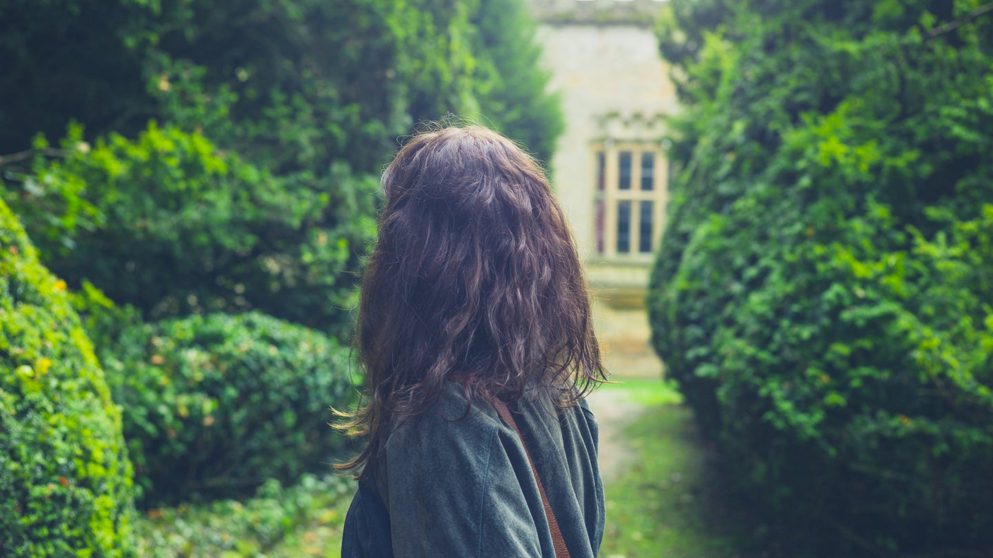 The back of a woman's head in a garden setting