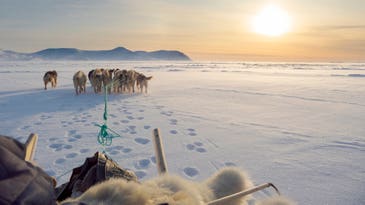 On this social network, sea ice, traditional foods, and wildlife are always trending