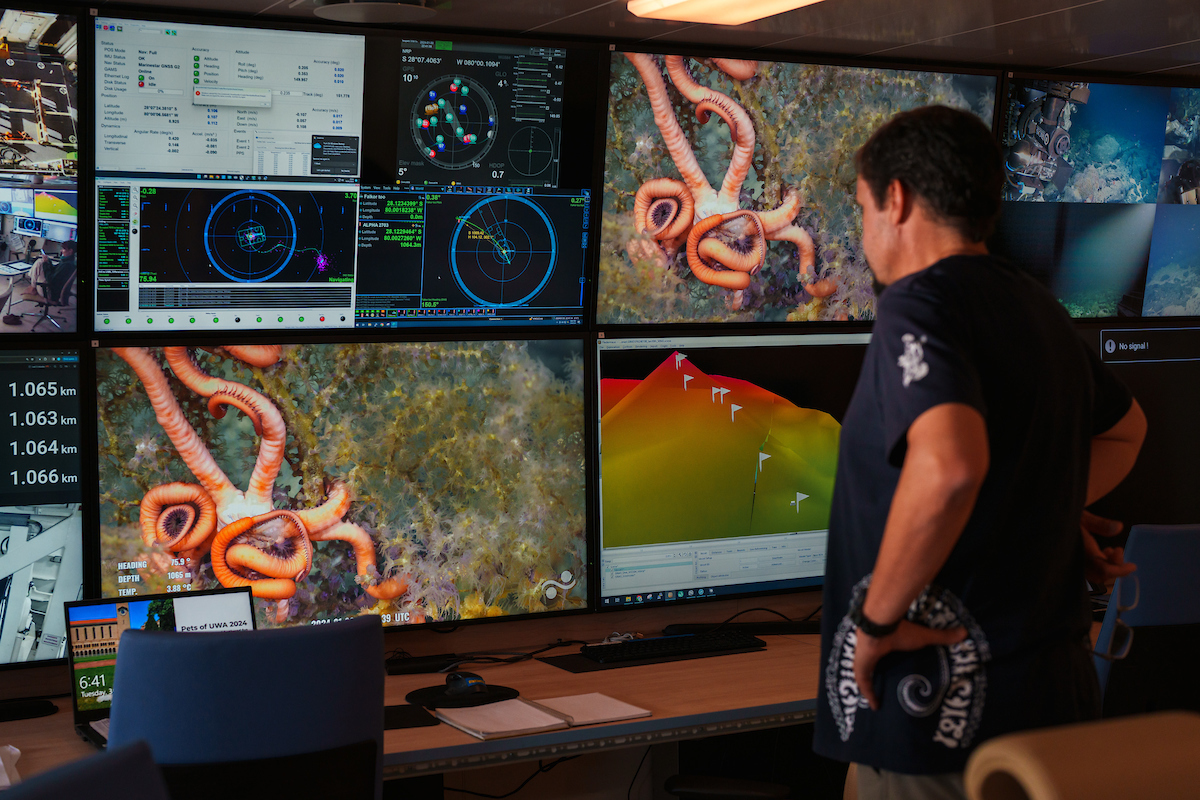 During the first dive to an unnamed and unexplored seamount, Javier Sellanes (Chief Scientist, Universidad CatÃ³lica del Norte) is left stunned at the incredible biodiversity seen here.  CREDIT: Alex Ingle/ Schmidt Ocean Institute