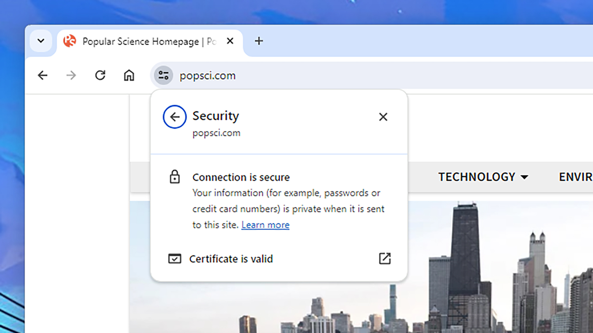 screenshot of security check on websites