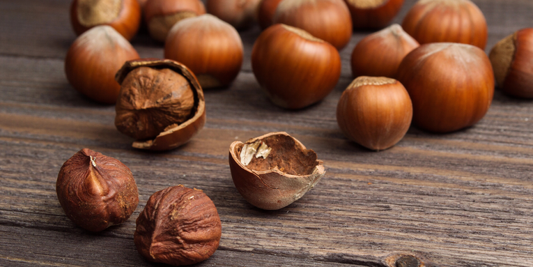 Human have been eating hazelnuts for at least 6,000 years