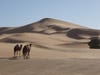 Lala Lallia Star Dune in Erg Chebbi, Morocco. CREDIT: Charlie Bristow