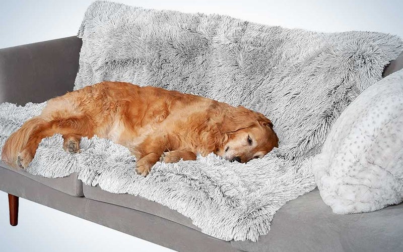 A dog laying on a grey Furhaven waterproof throw blanket for dogs that's on a couch.
