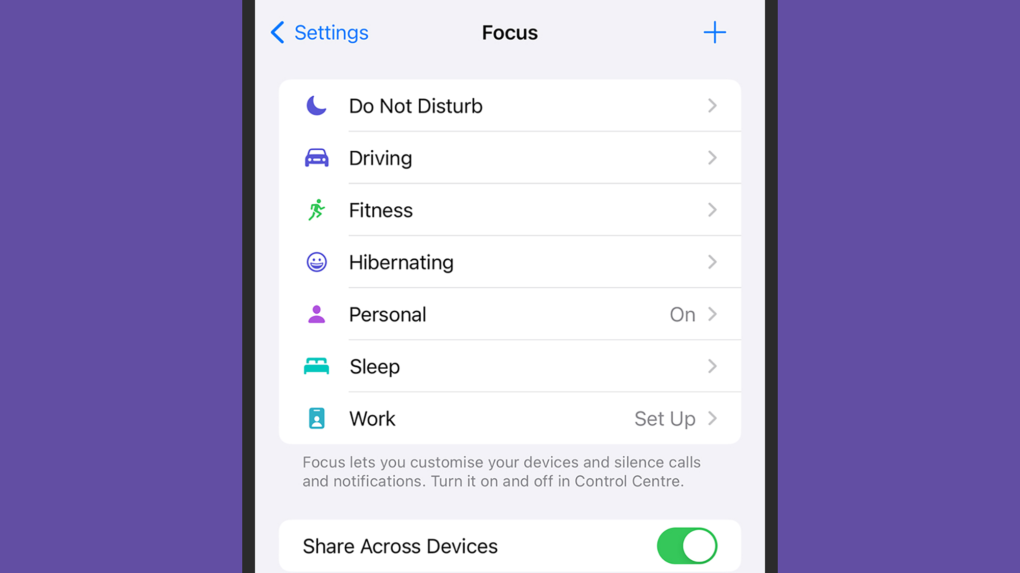 screenshot of focus options (do not disturb, driving, fitness, hibernating, personal) on an iPhone with purple background