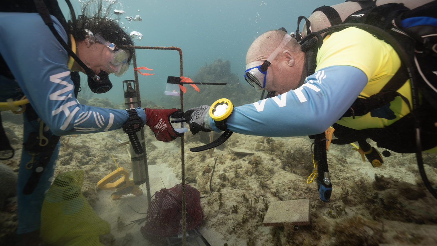 two men in scuba gear install a sound system by a coral reef