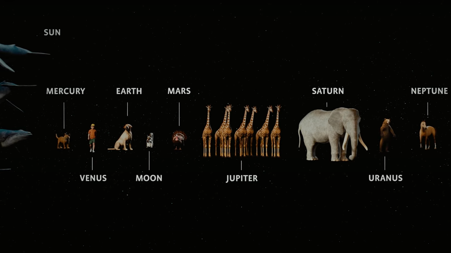 planet names alongside images of a cat, human, dog, rat, squirrel, giraffes, elephant, bear, and horse
