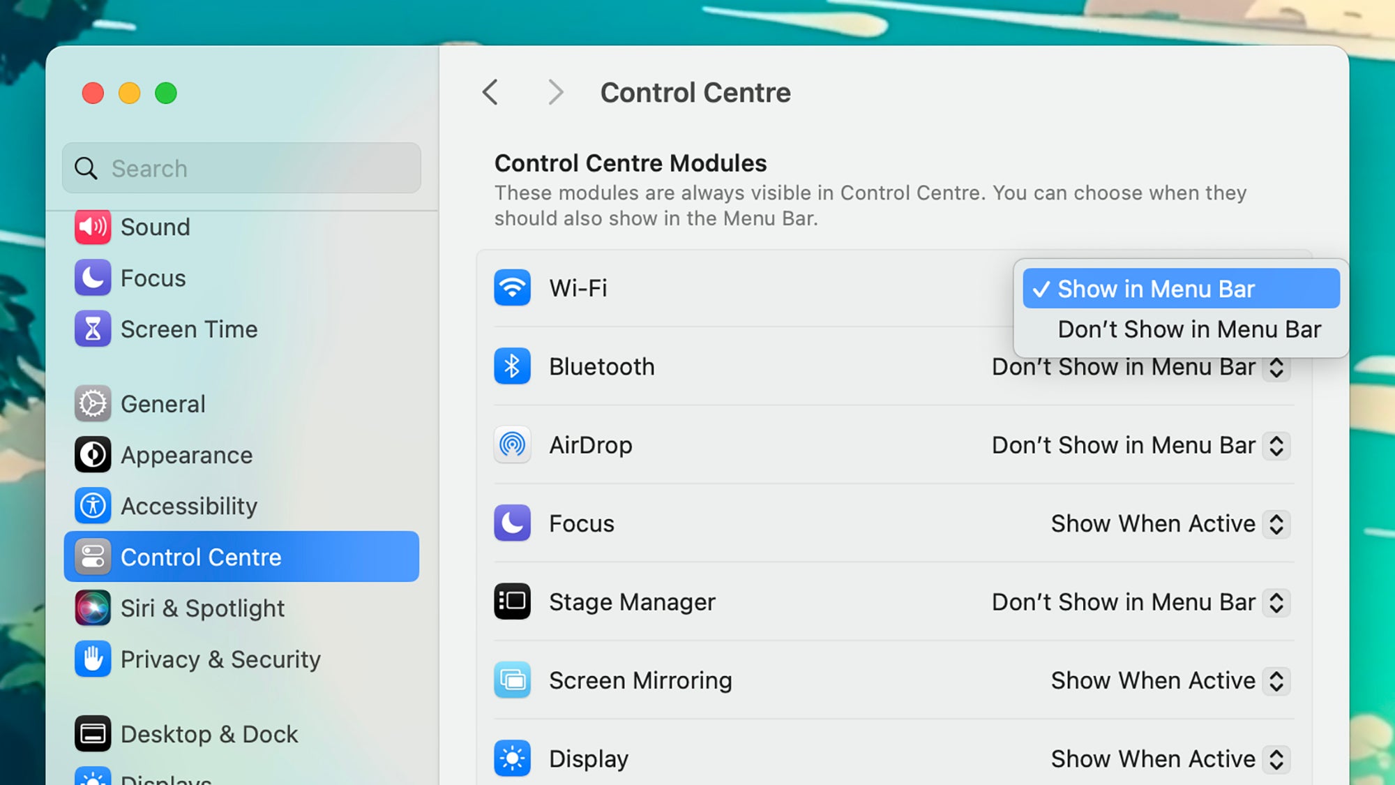 screenshot of mac laptop with the "control center modules" menu open