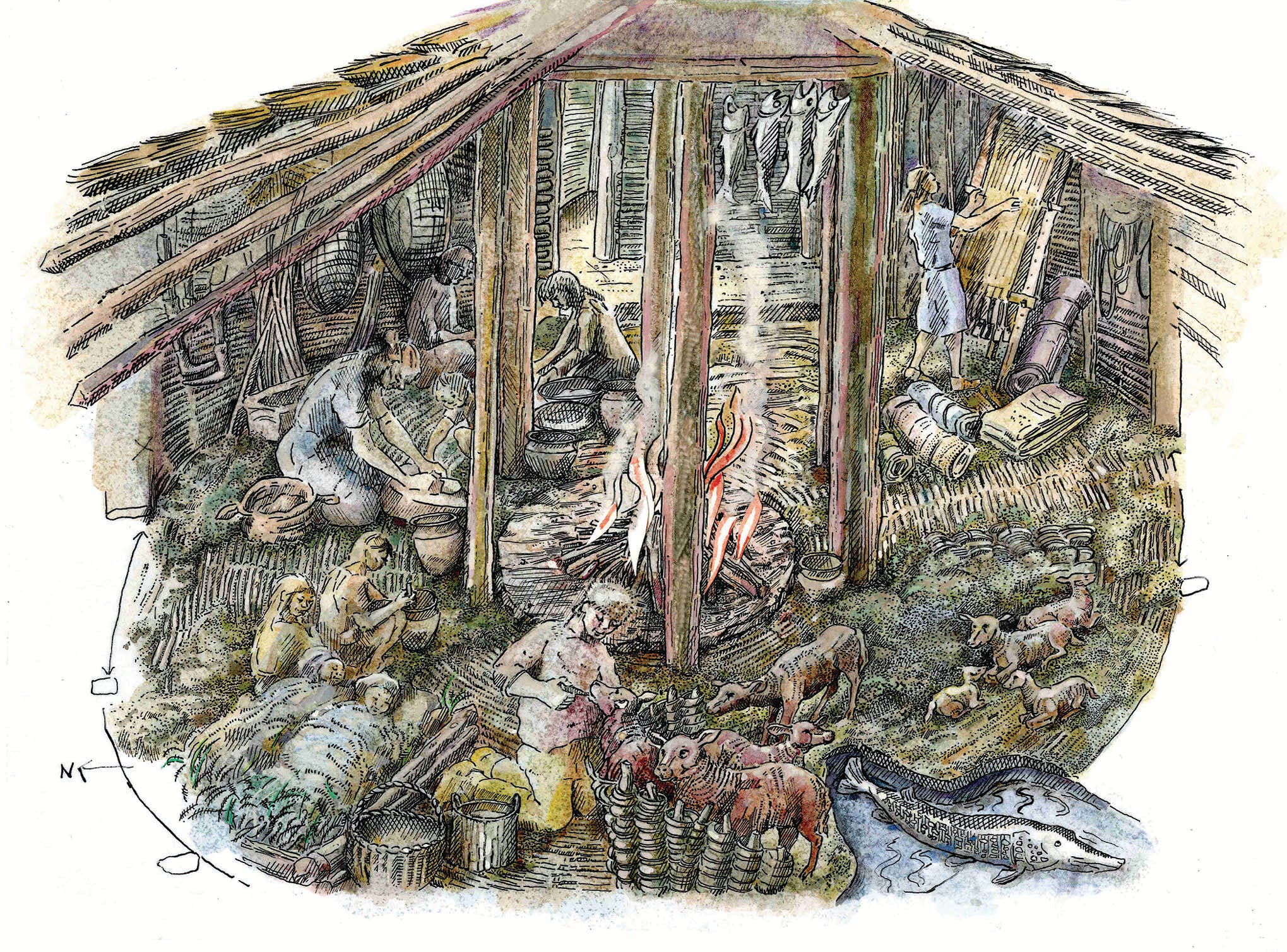 an illustration of domestic life in the bronze age fenlands. a cooking fire is in the middle, with several humans  working inside with animals