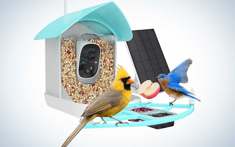 A Gyozol smart bird feeder on a plain background