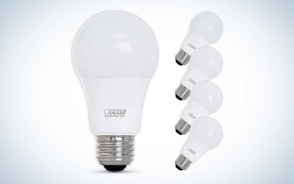 White Feit LED light bulbs on a plain background.