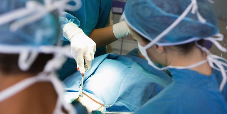 Surgeons complete first-ever gene-edited pig kidney transplant