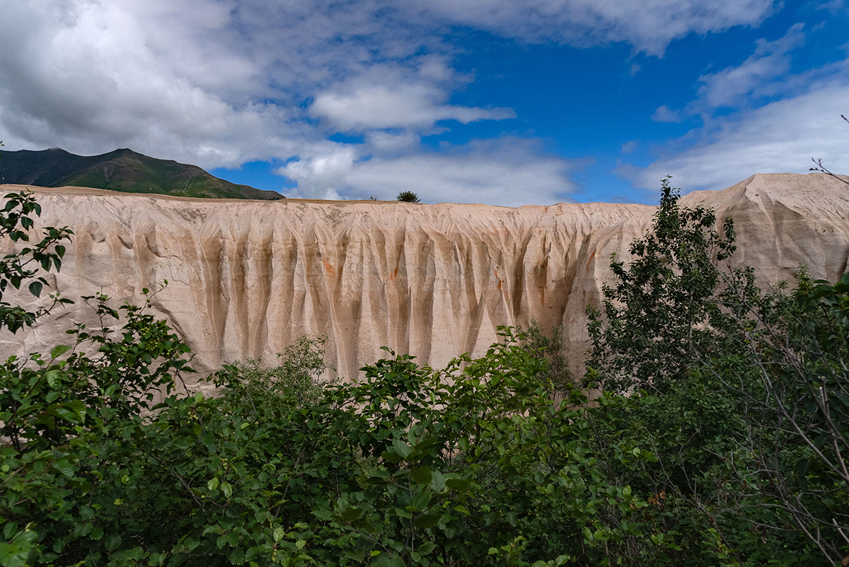 The steep bank of the Ukak River gorge in the Valley of Ten Thousand Smokes, Alaska, shows pyroclastic rock created by the eruption of the Novarupta volcano in 1912. Reimer wonders if little brown bats could be hibernating in the cracks and crevices of the rock.