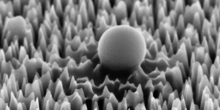 New material neutralizes 96-percent of virus cells using nanospikes
