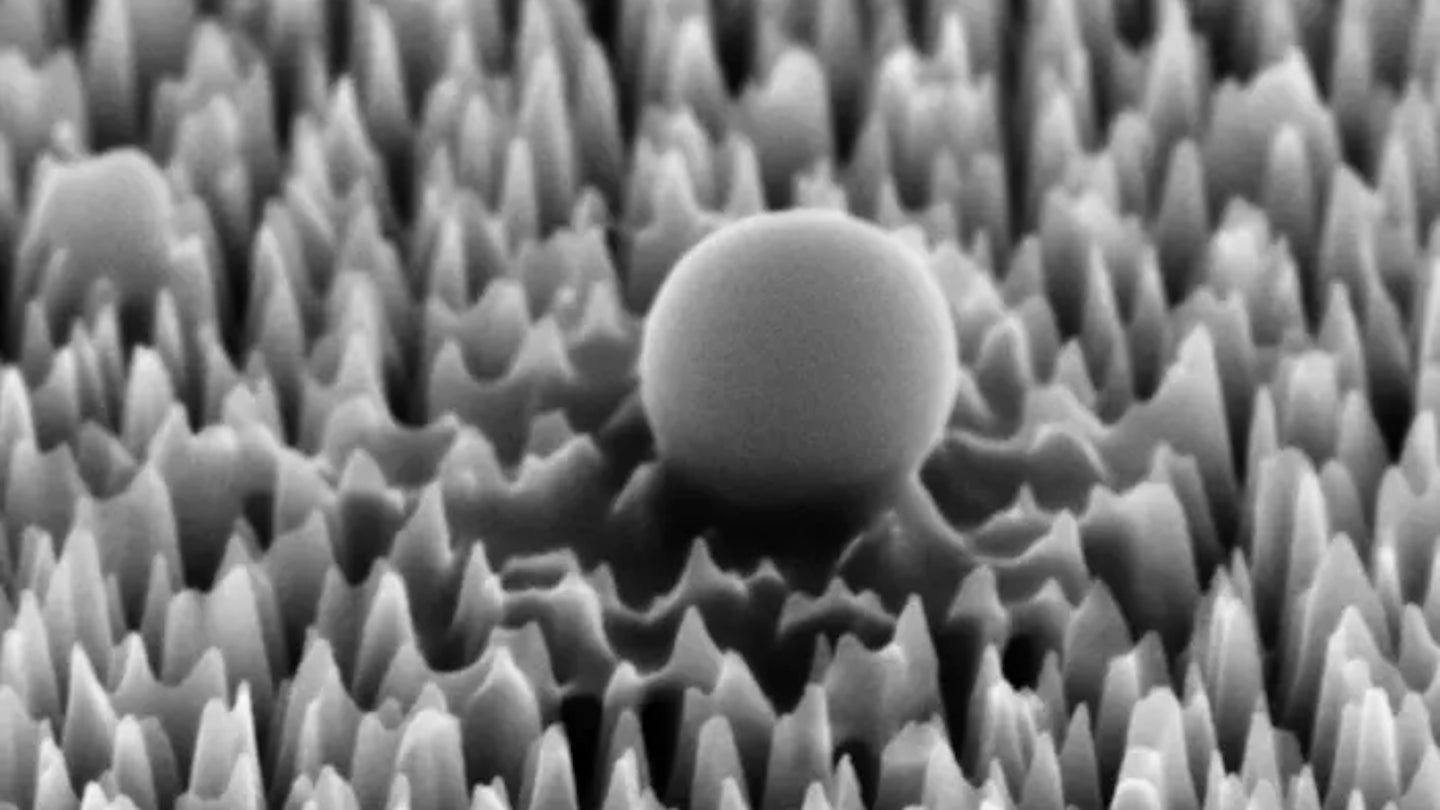 New material neutralizes 96-percent of virus cells using nanospikes