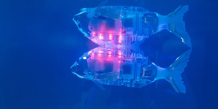Get ready for the robotic fish revolution