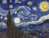 The Starry Night by Vincent van Gogh. 