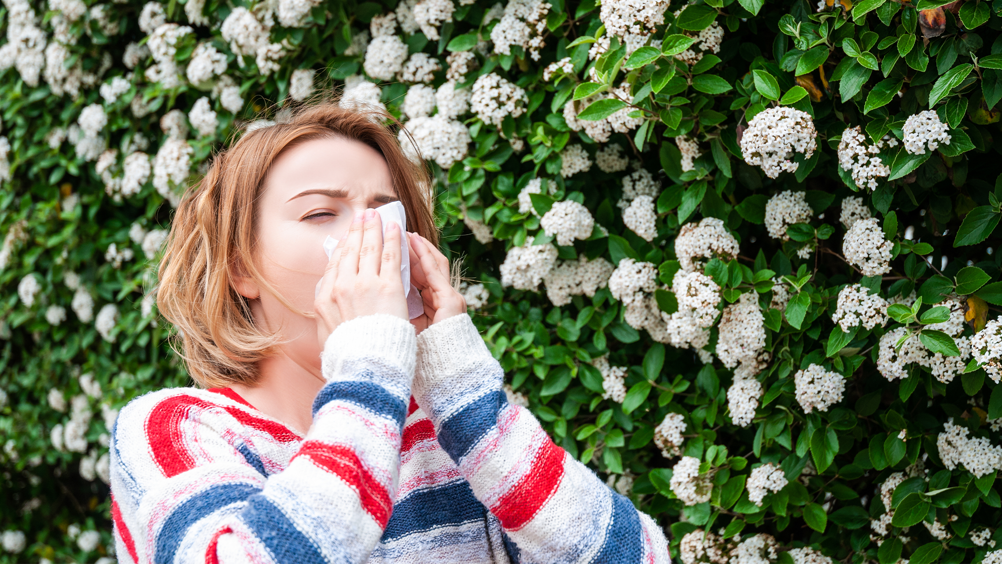 a women blows her nose into a facial tissue while standing next to blooming white flowers