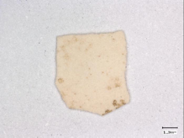 a square shaped fragment of eggshell from an archaeological dig
