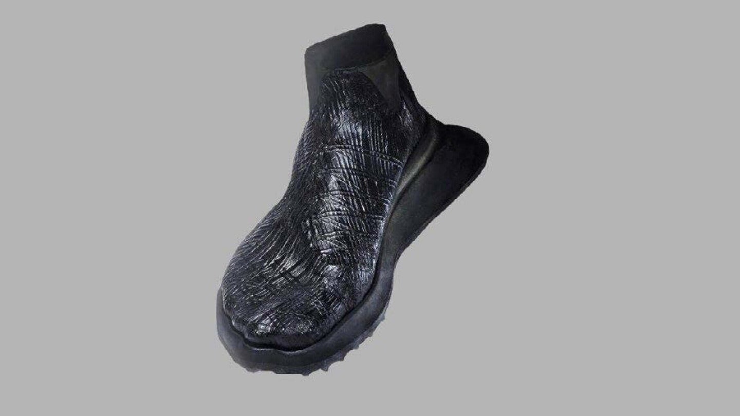 Shoe made from bacterial cellulose