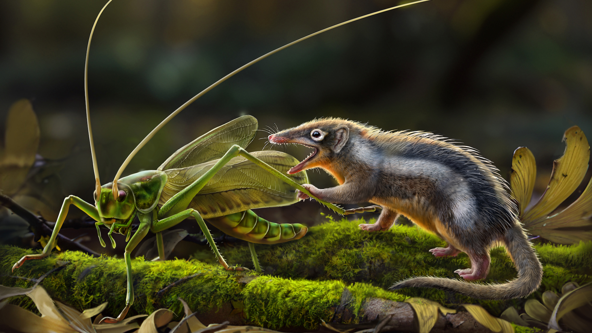 New fossils of tiny, toothy early mammals could be a major missing link
