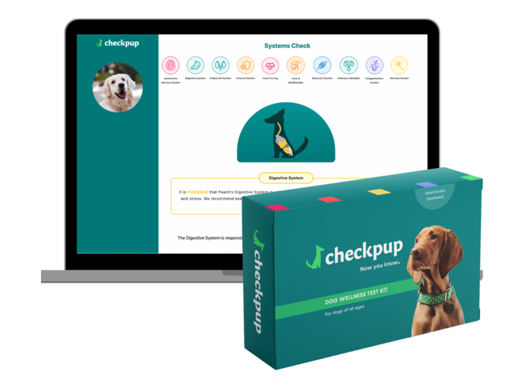 Help your pet thrive with this 20-in-1 dog wellness test kit, now price-dropped through April 16