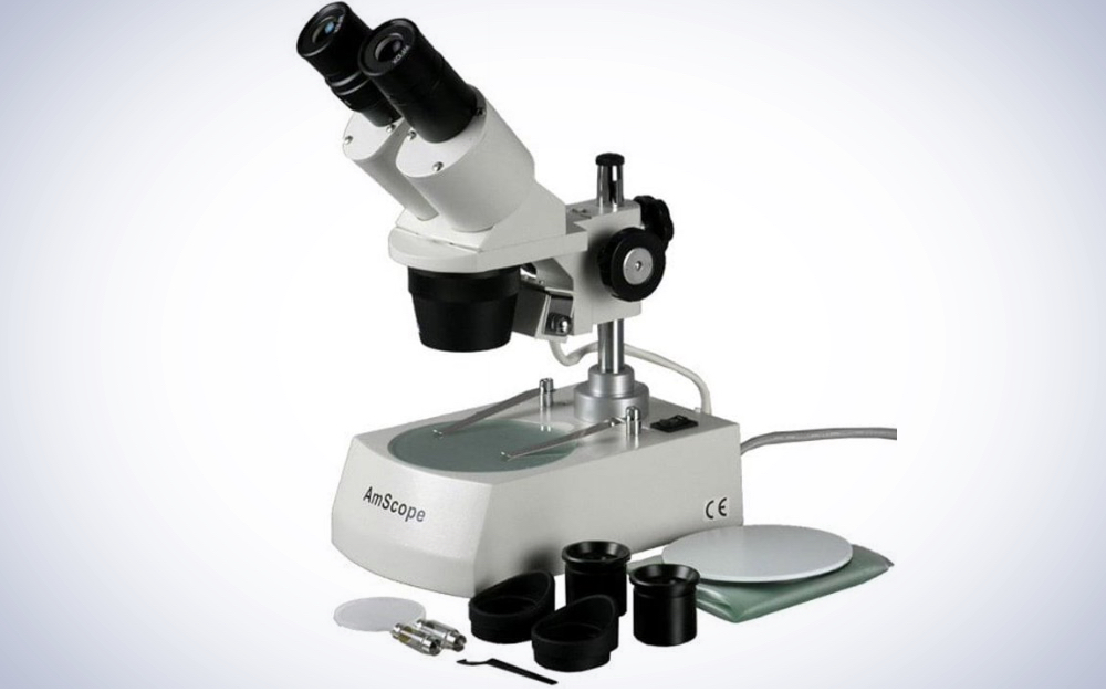 AmScope Student Forward Binocular Stereo Microscope on a plain white background.