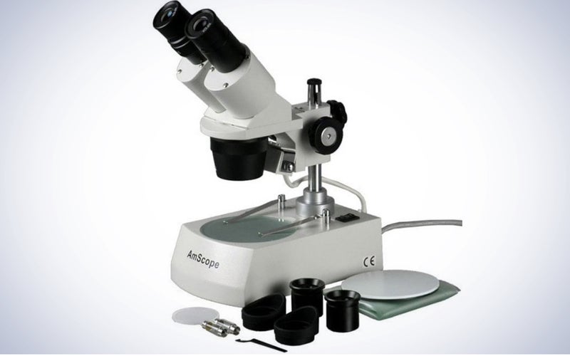AmScope Student Forward Binocular Stereo Microscope on a plain white background.
