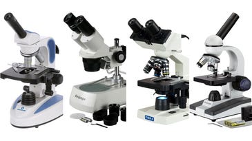 The best microscopes for students in 2024