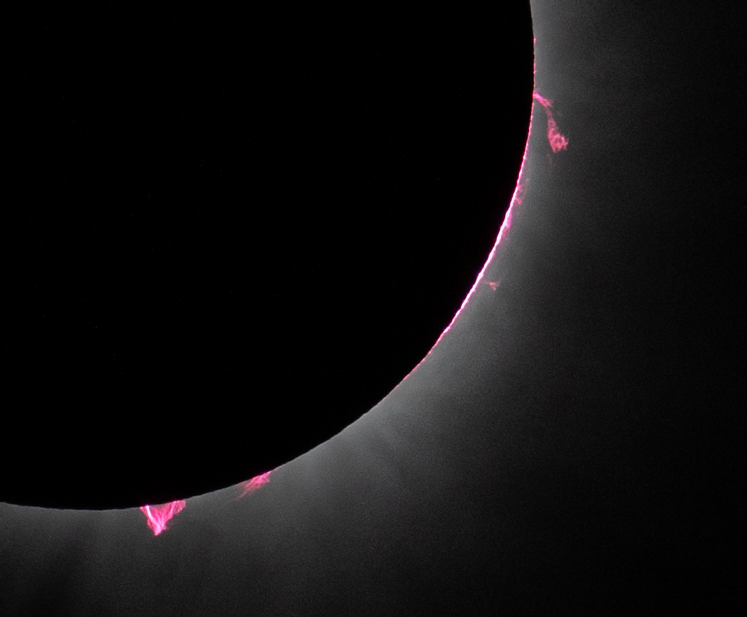 pink ejections appear on the edges of a black eclipse