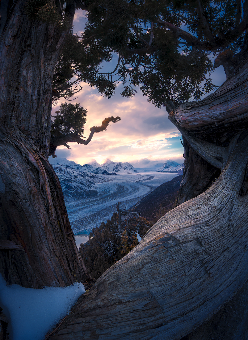 trees frame a photo of a glacier and mountains on a cloudy day