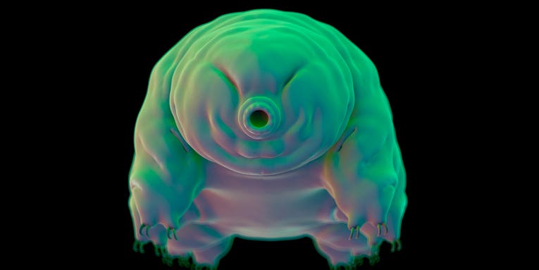 How super resilient tardigrades can fix their radiation-damaged DNA