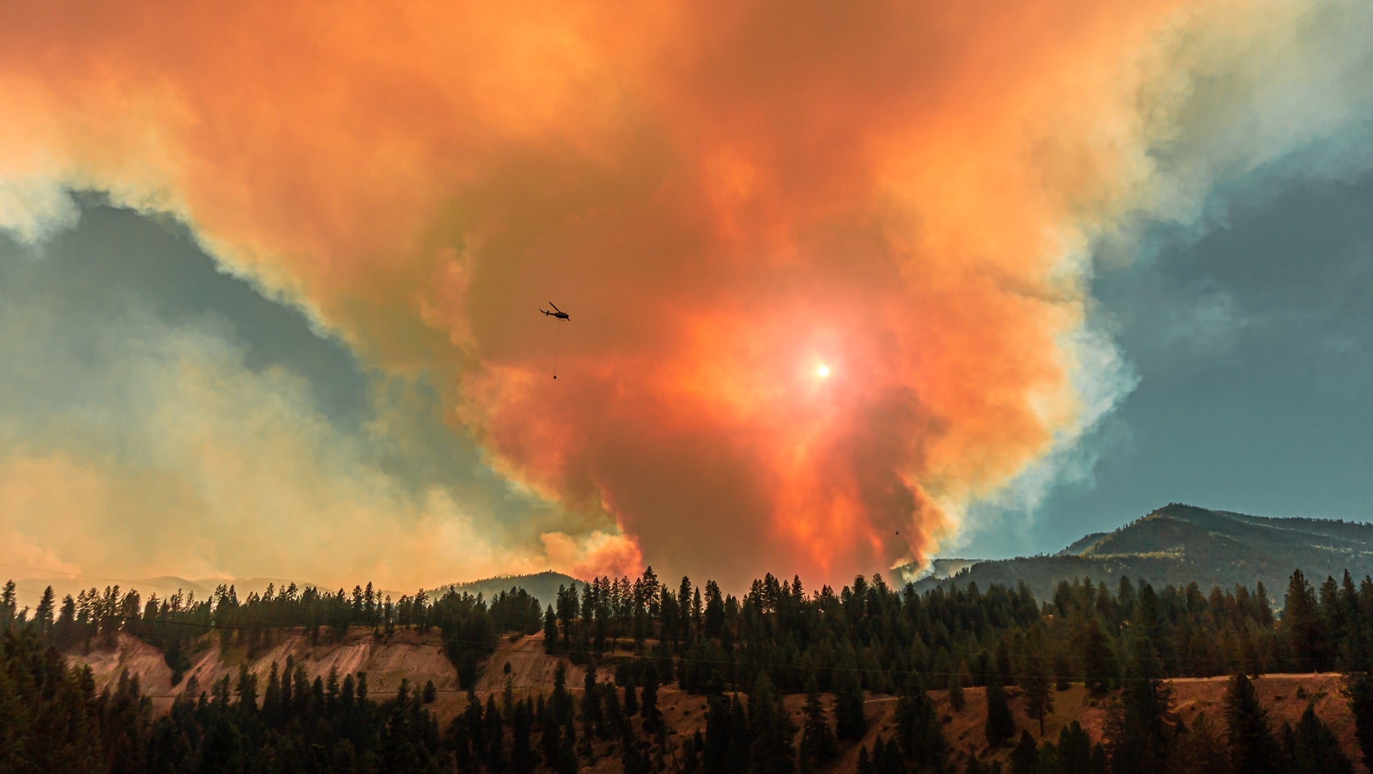 Cómo TÚ puedes prevenir los incendios forestales