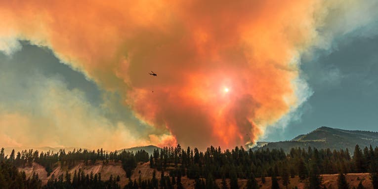How YOU can prevent wildfires