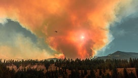 How YOU can prevent wildfires