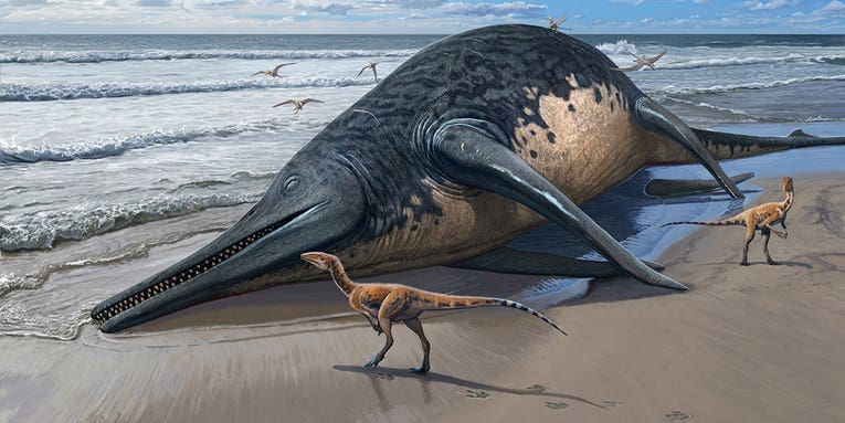 New species of extinct marine reptile found with help from 11-year-old child
