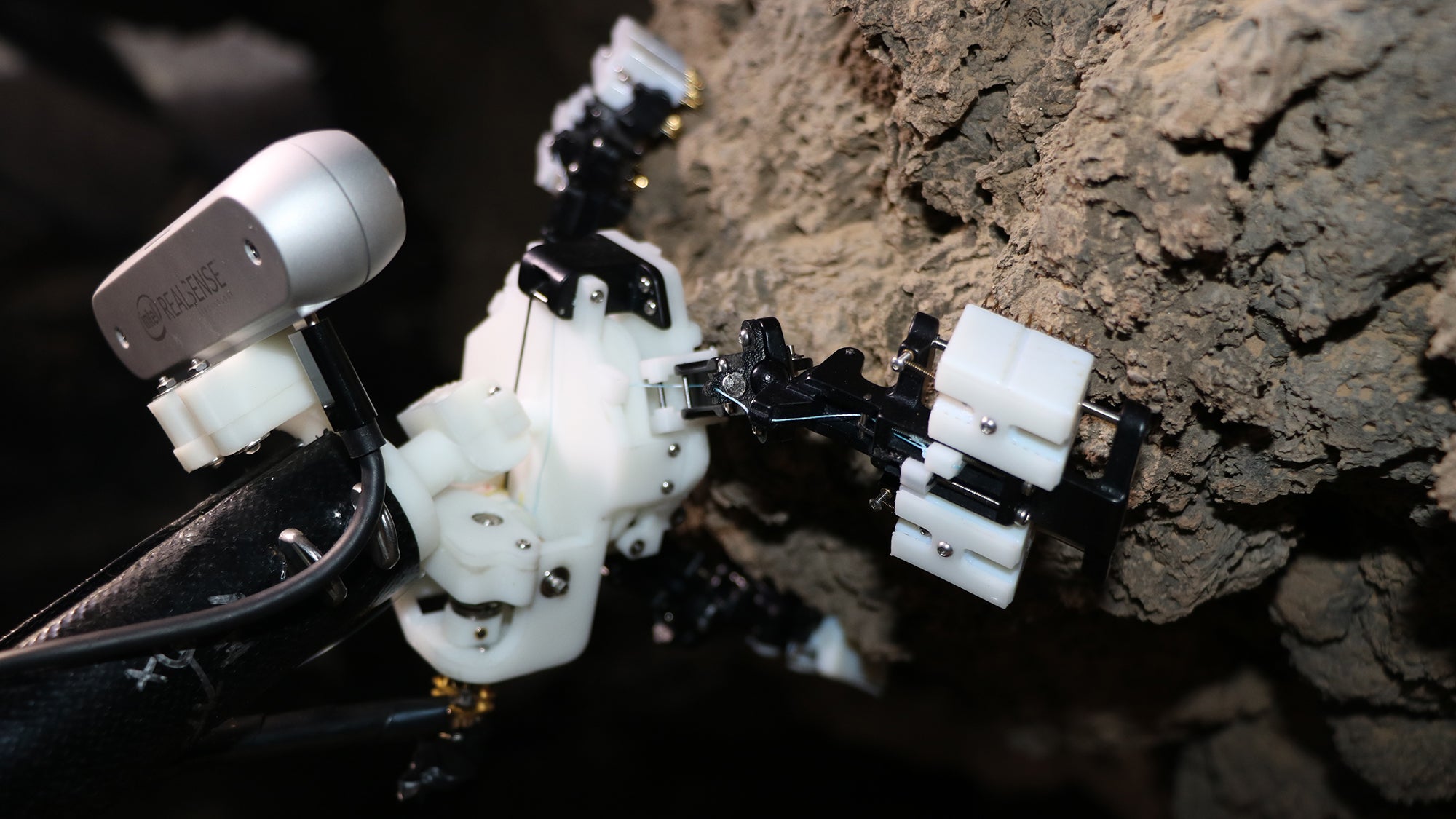 Un robot inspirado en papá de piernas largas podría algún día retorcerse a través de cuevas marcianas