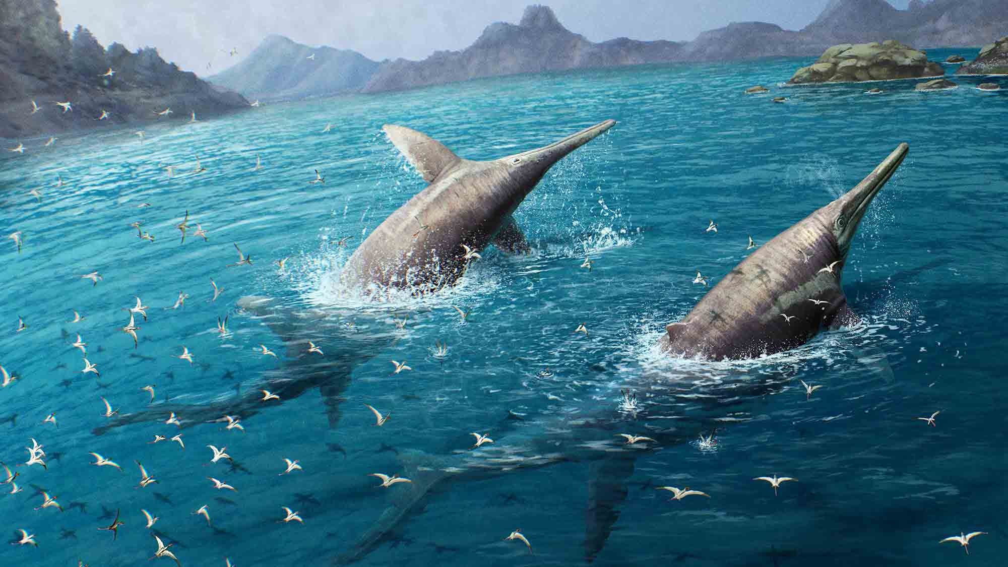 an illustration two reptiles called ichthyosaur swimming with mountains in the distance