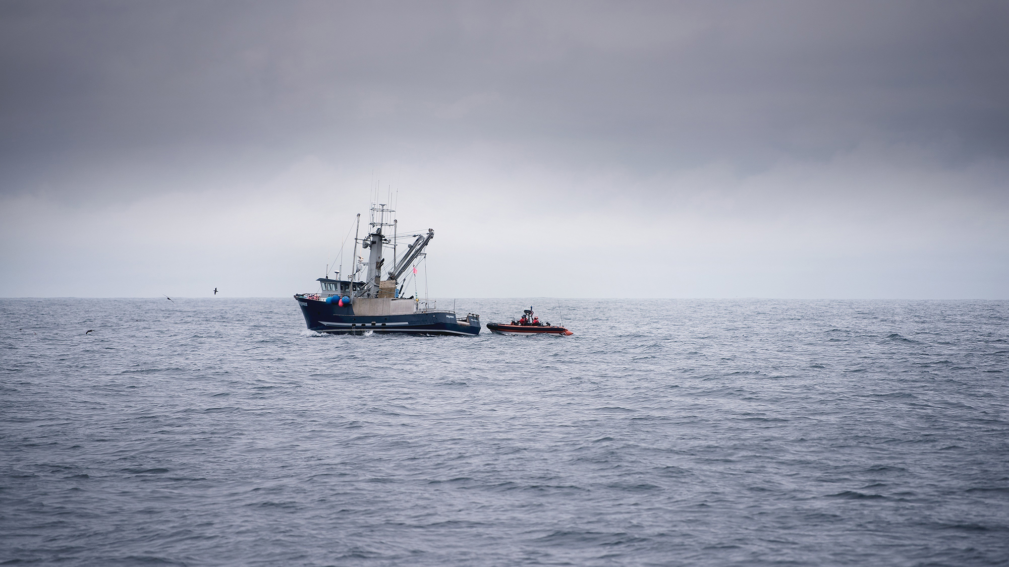 The Cutter Douglas Munro and crew searching for illegal, unreported, and unregulated fishing activity including high seas driftnet fishing.