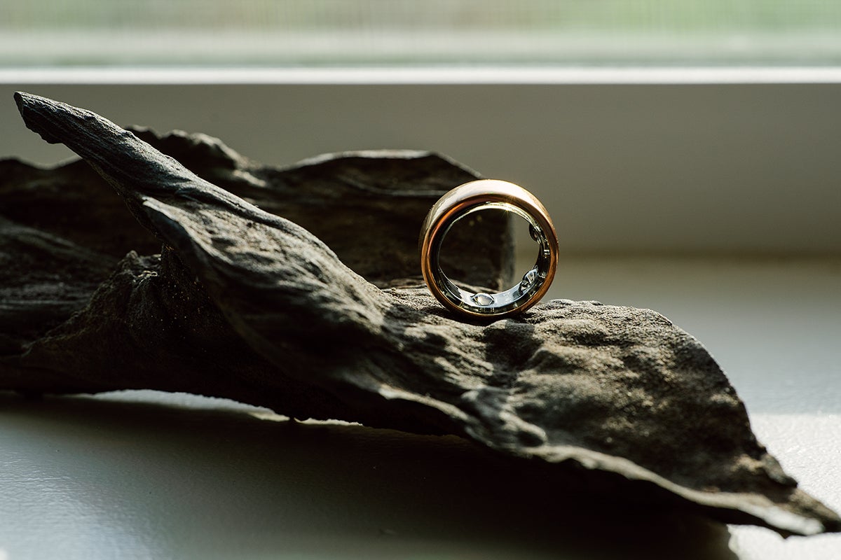 Rose Gold Oura Ring Horizon sitting upright on a piece of driftwood, three interior sensor bubbles visible