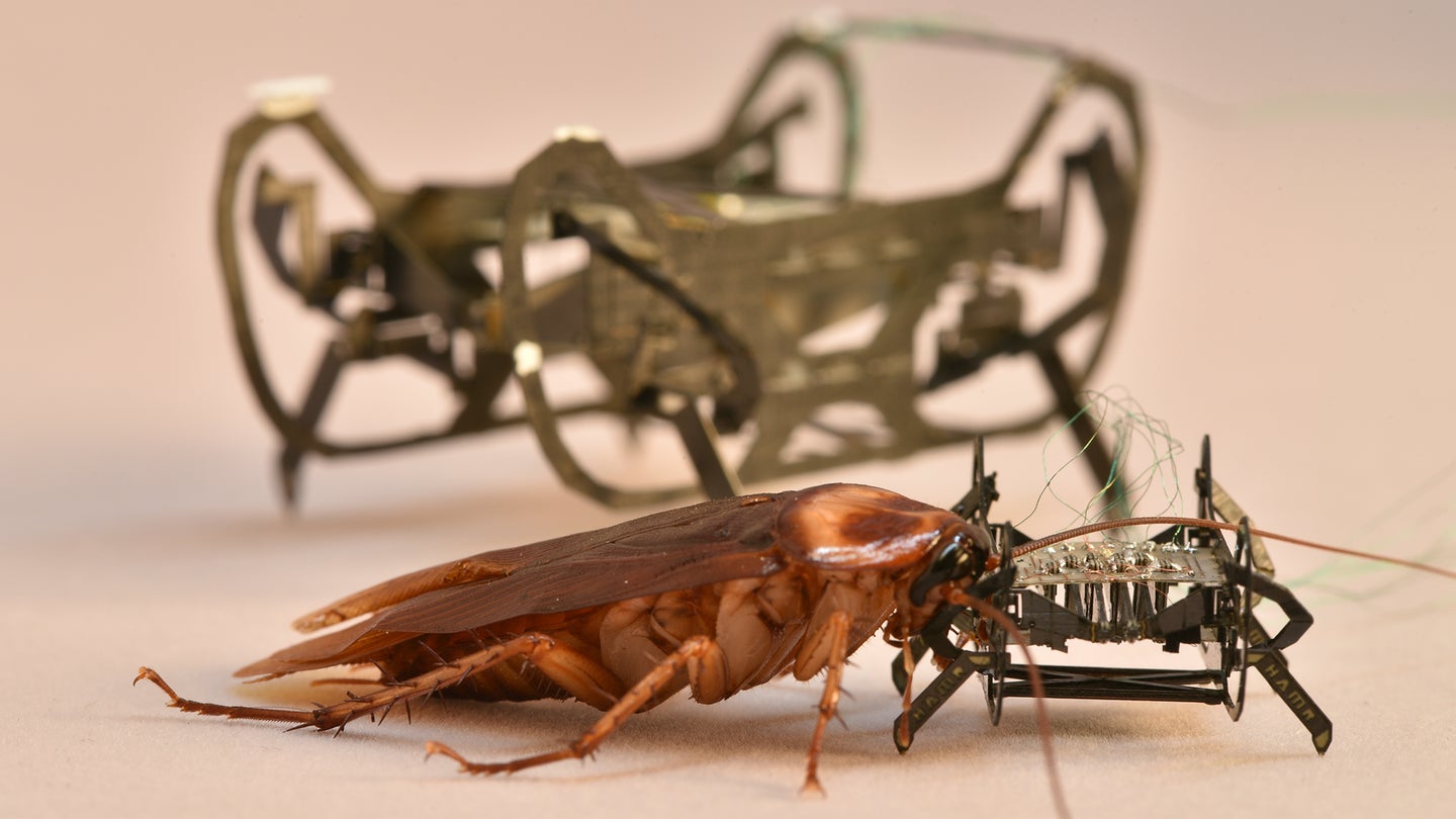 Why animals run faster than their robot doppelgängers… for now