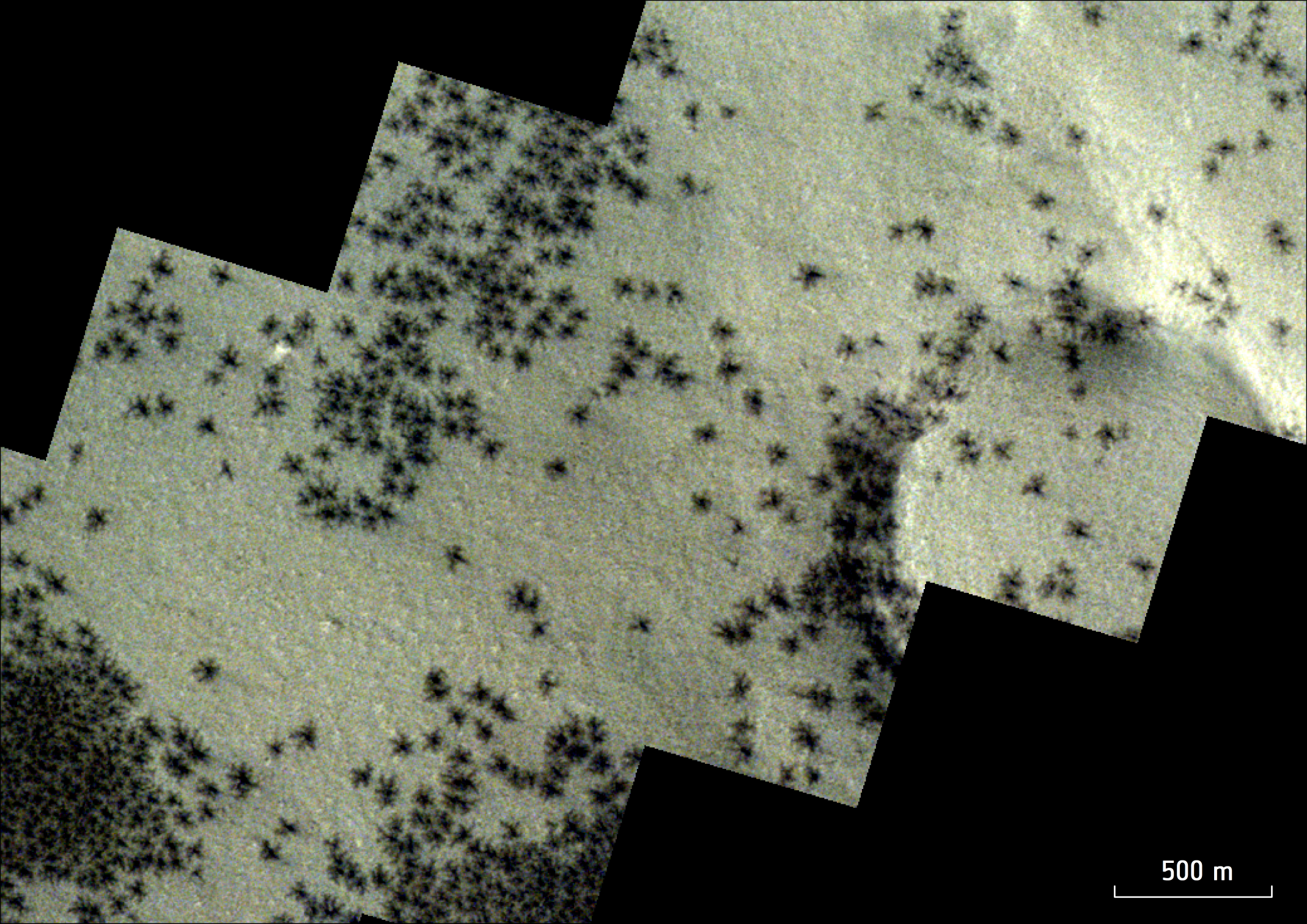 A slice of the martian surface is shown here. A rounded segment of an eroded crater basin is visible to the right. The key features seen across the image are dark spots with tendrils that are eerily reminiscent of spiders. These are visible in large numbers to the left, and scattered irregularly across the rest of the image.
