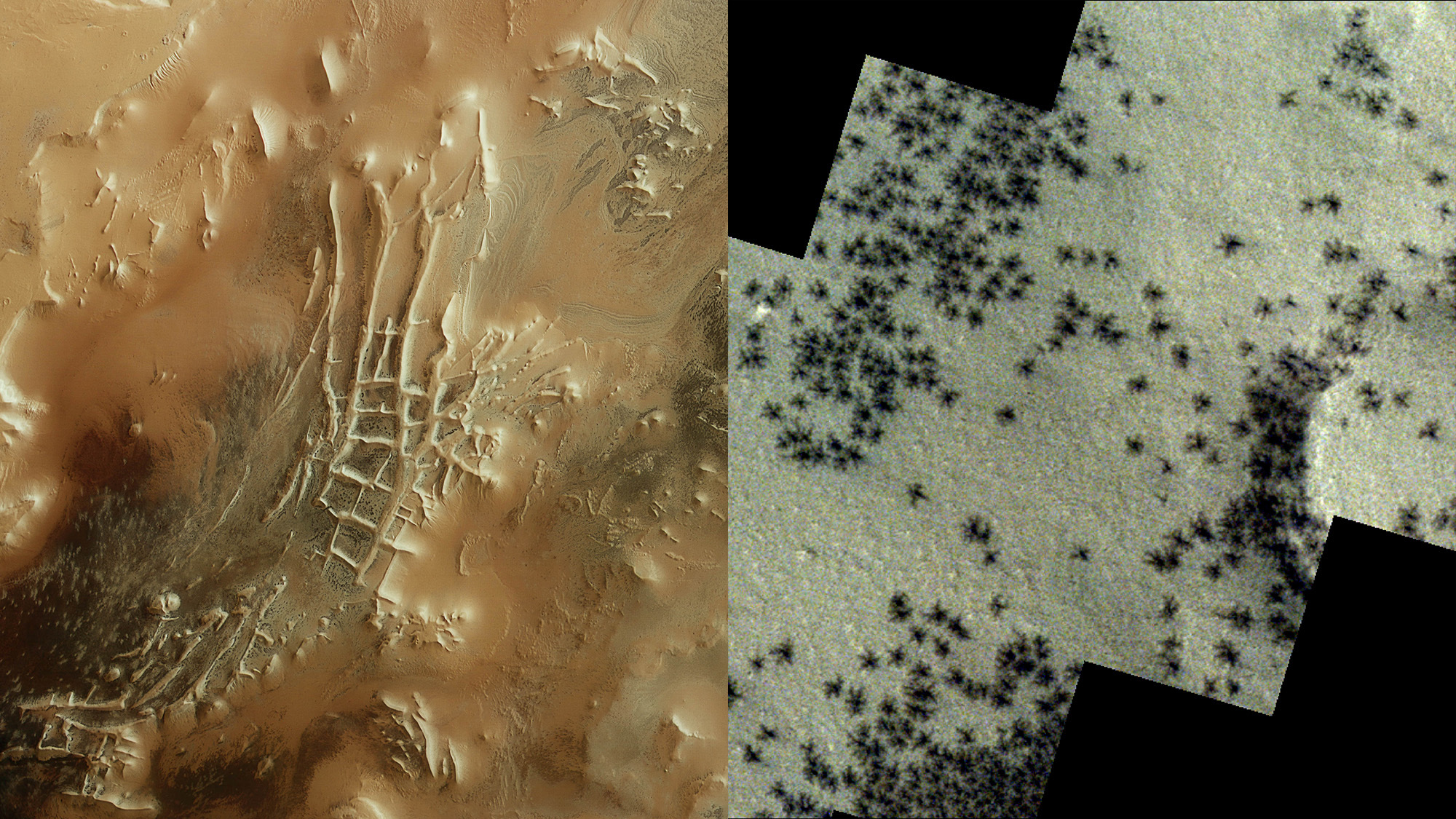 left image- This rectangular image shows part of the martian surface as if the viewer is looking down and across the landscape, with the irregular, mottled ground appearing in swirled tones of brown and tan. right image- A slice of the martian surface is shown here. A rounded segment of an eroded crater basin is visible to the right. The key features seen across the image are dark spots with tendrils that are eerily reminiscent of spiders. These are visible in large numbers to the left, and scattered irregularly across the rest of the image.