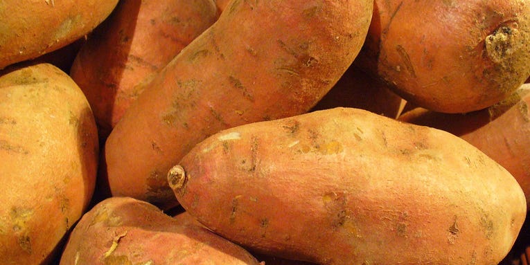 Can AI help tell the difference between a good and bad sweet potato?