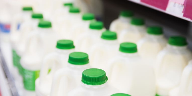 Bird flu virus traces detected in 1 in 5 pasteurized cow milk samples