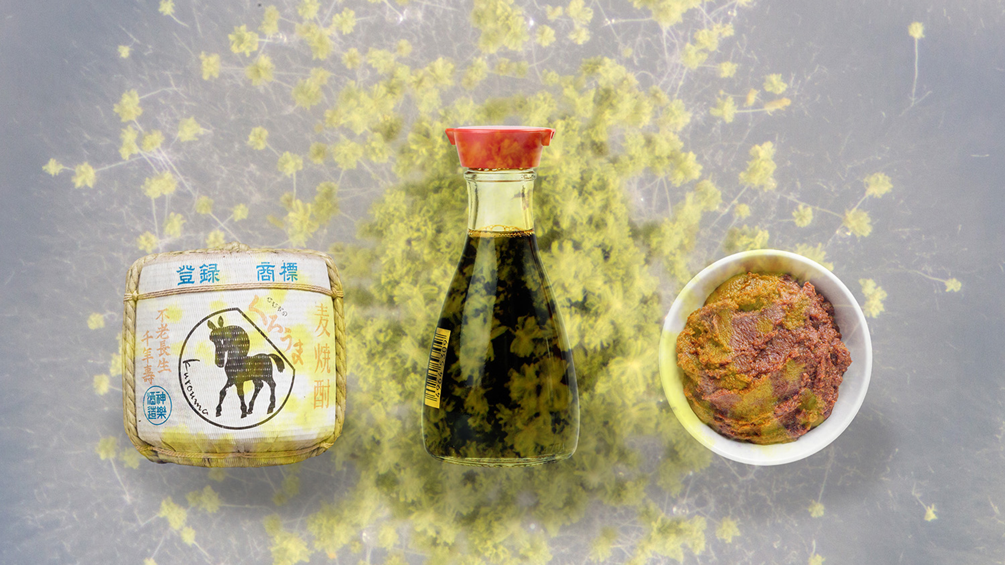 The mold Aspergillus oryzae helps to make several fermented foods, including sake, soy sauce, and miso.
