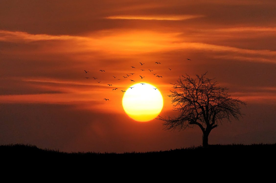 What gives a sunset its color?