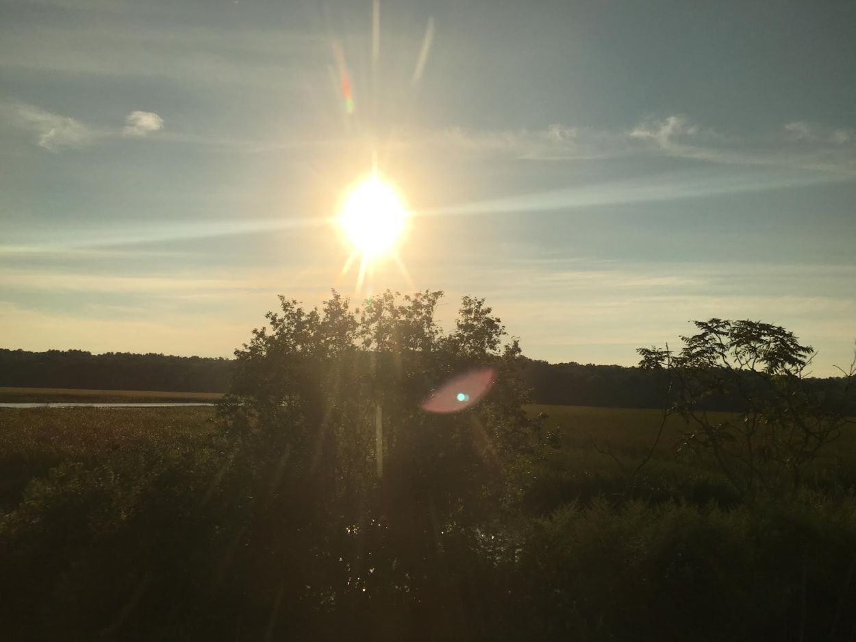 Sun Rays In Camera Seven tips for shooting nature photos with your smartphone camera